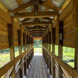 Meet your Posher, Alicia